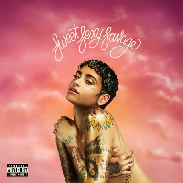 Undercover cover art