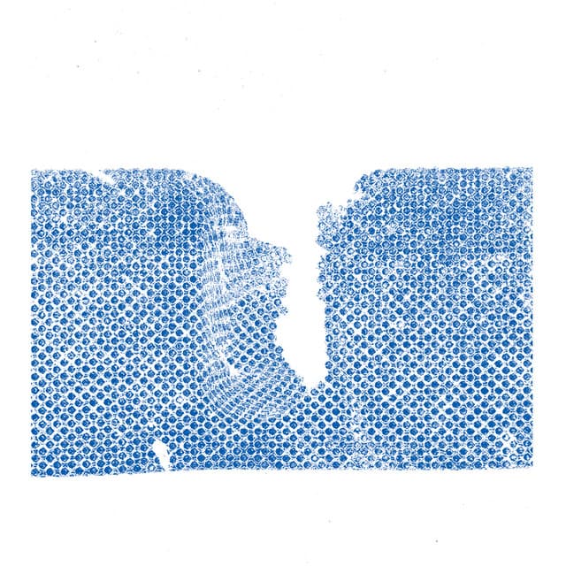 Mottle cover art