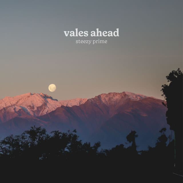 perspective cover art