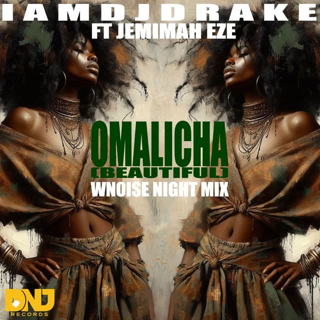 Omalicha (Beautiful) - Wnoise Night Remix [Extended Mix] cover art