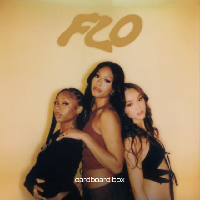 Cardboard Box - Instrumental cover art
