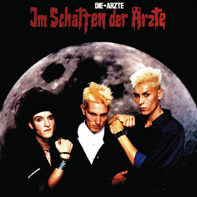 Im Schatten Der Ärzte cover art