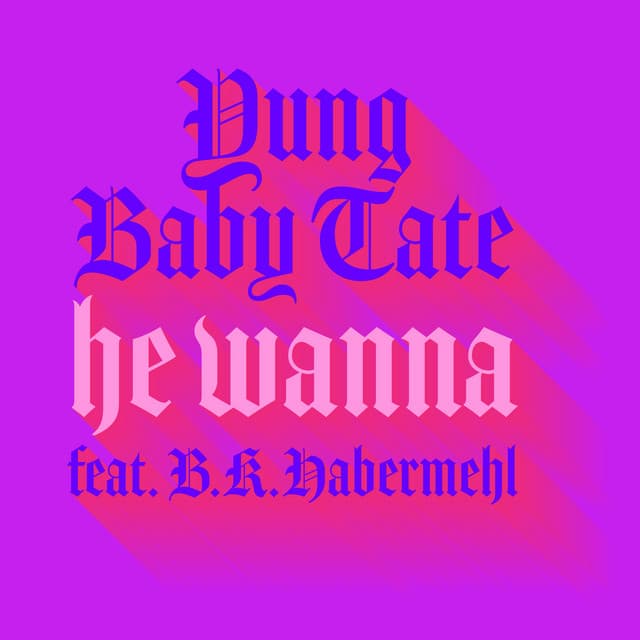 He Wanna (feat. b.kae) cover art