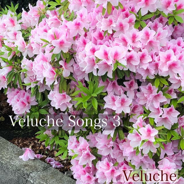 over time - 2025 Ver cover art