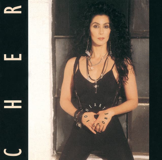 If I Could Turn Back Time cover art