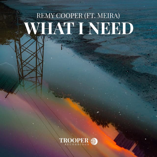 What I Need cover art