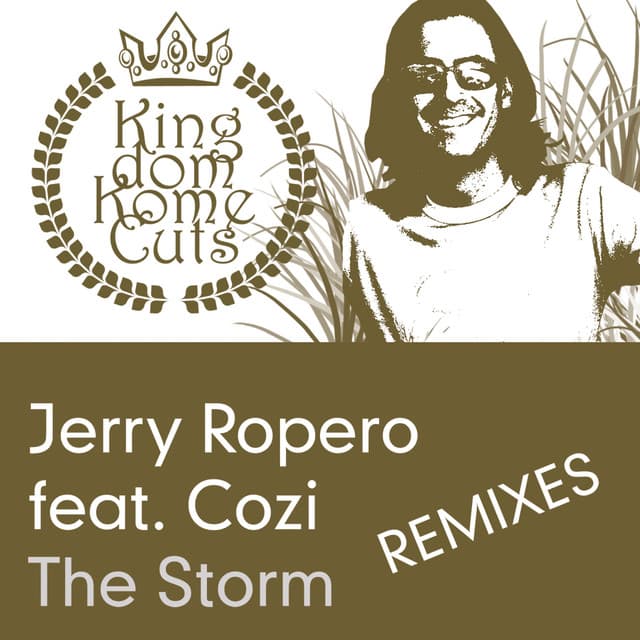 The Storm (feat. Cozi) - John Dahlbäck Vocal Remix cover art