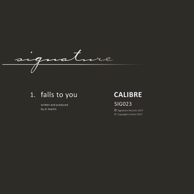 Falls To You cover art