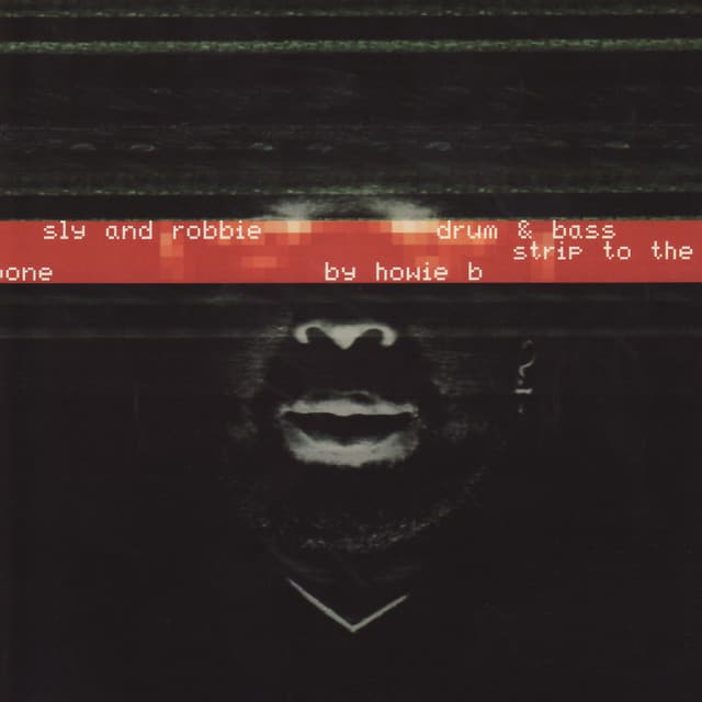Stripped To The Bone cover art