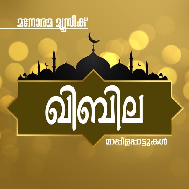 Beevi Khadeeja cover art