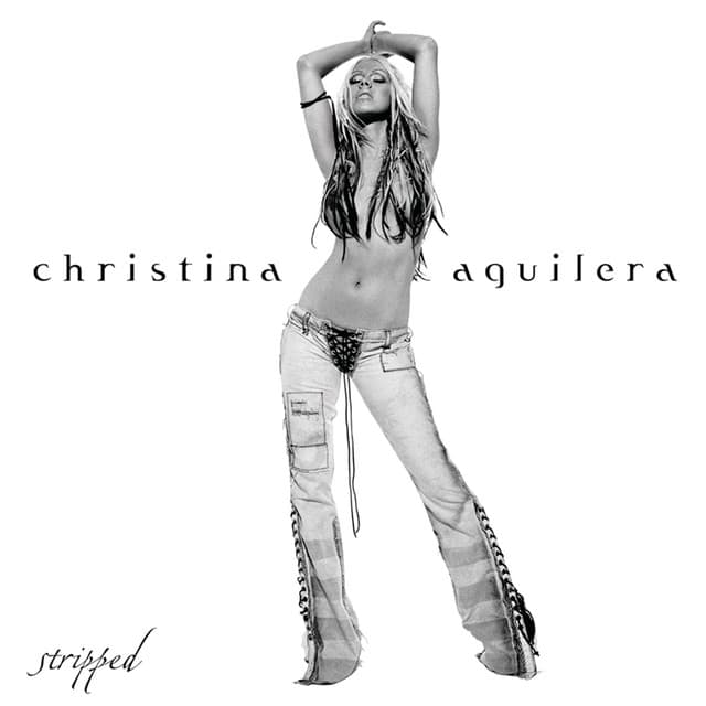 Fighter cover art