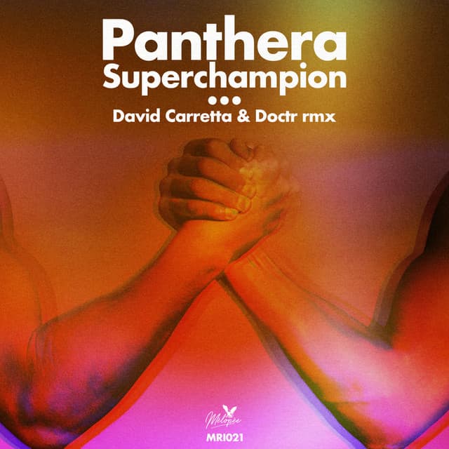 Superchampion - Doctr Remix cover art