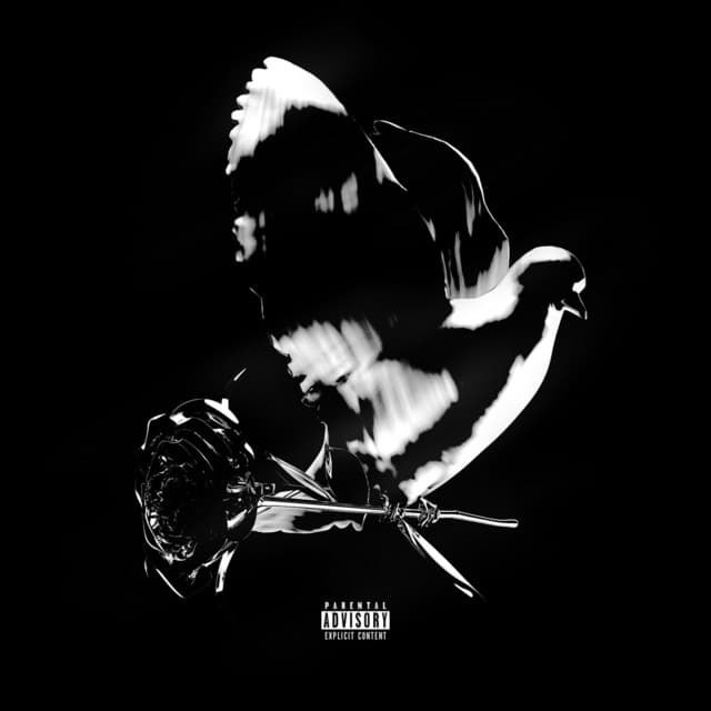 Something Special cover art