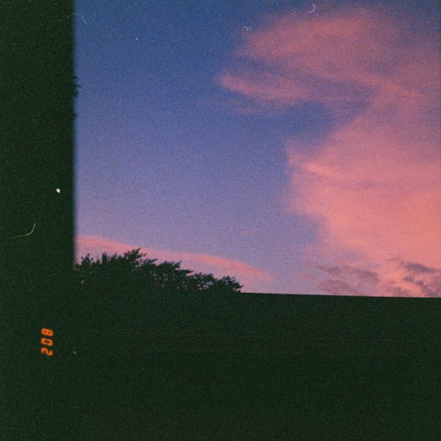 208 cover art