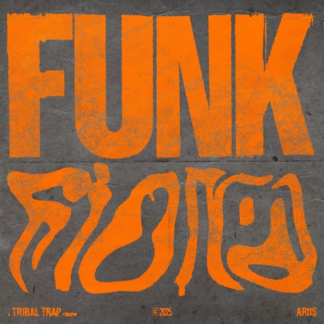 FUNK FIONA - Super Slowed cover art