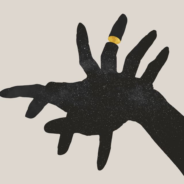 Stolen cover art