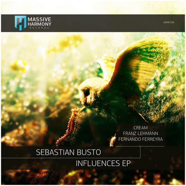 Influences - Franz Lehmann Remix cover art