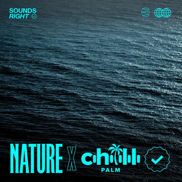 Capbreton Heavy Waves cover art