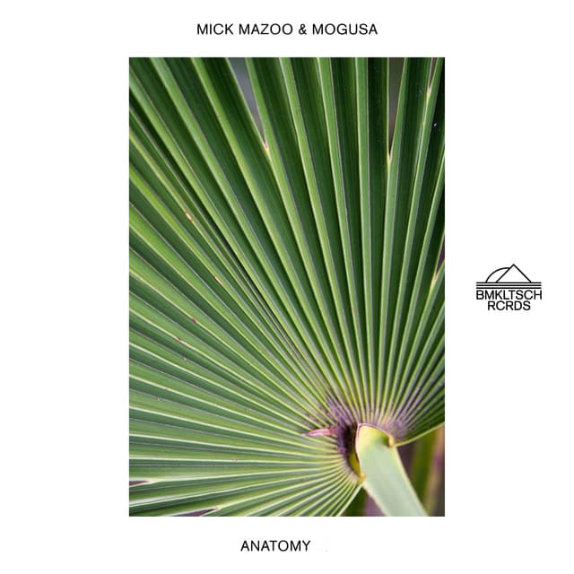 Anatomy cover art