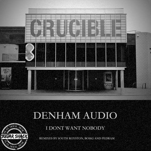 I Don't Want Nobody - Pedram Remix cover art