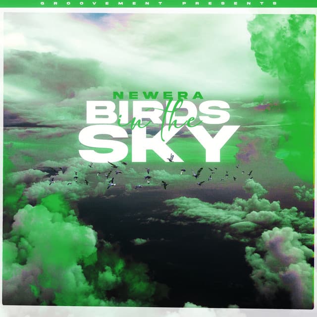 Birds In The Sky (Sam Green Remix) cover art