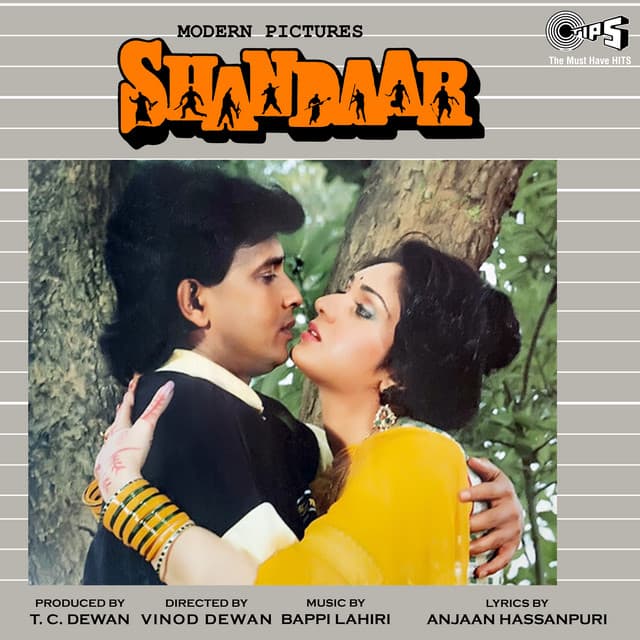 Meri Umar Kunwari cover art