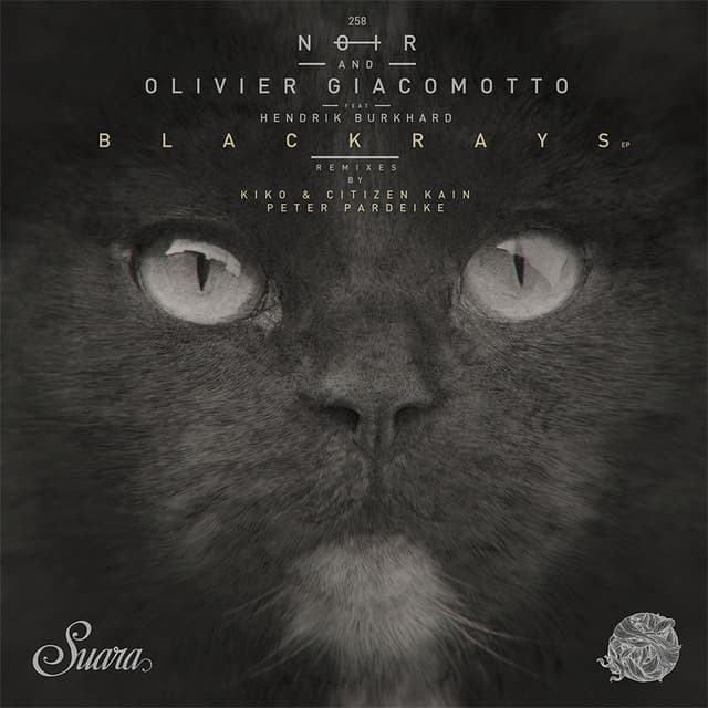 Blackrays - Kiko & Citizen Kain Remix cover art