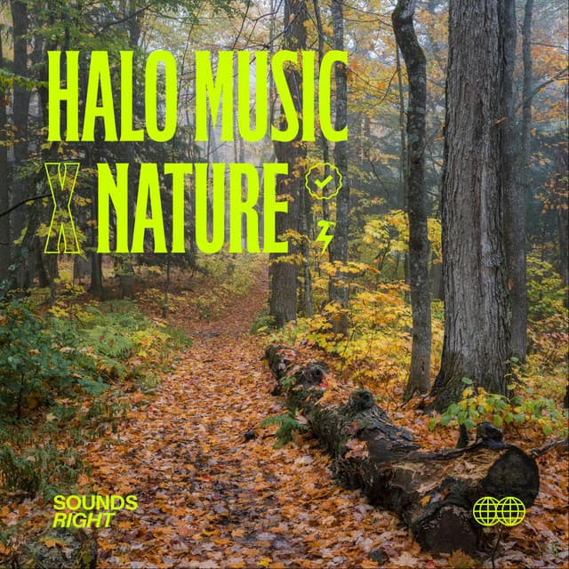 Birds Creek cover art
