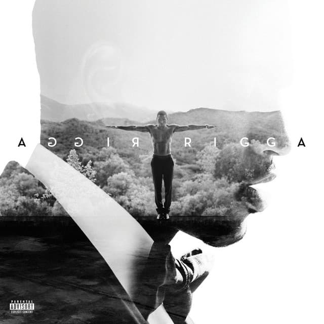 Trigga (Deluxe) cover art