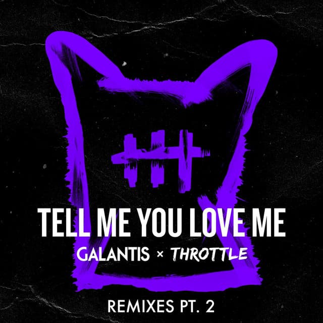 Tell Me You Love Me - Ari Remix cover art