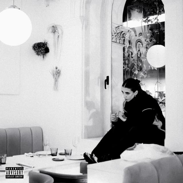 Do Not Disturb cover art