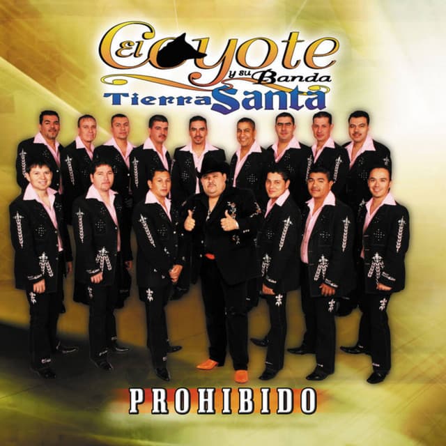 Prohibido cover art