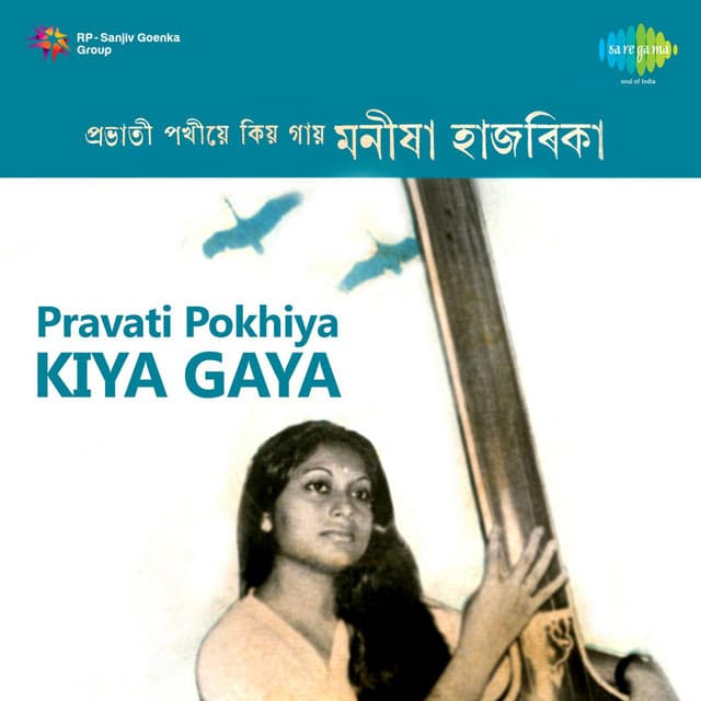 Pravati Pokhiya Kiya Gaya cover art
