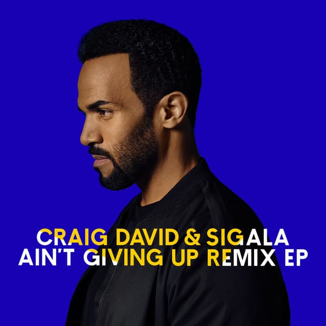 Ain't Giving Up - Extended Mix cover art