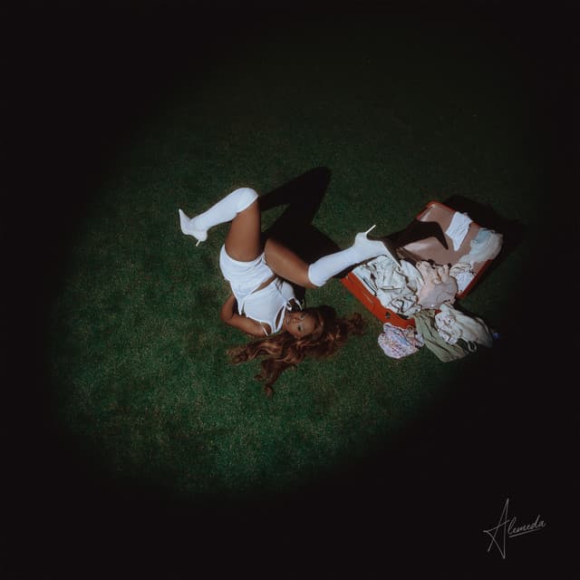 Chameleon cover art