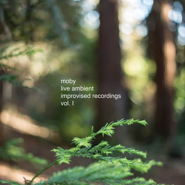Live ambient 8 cover art