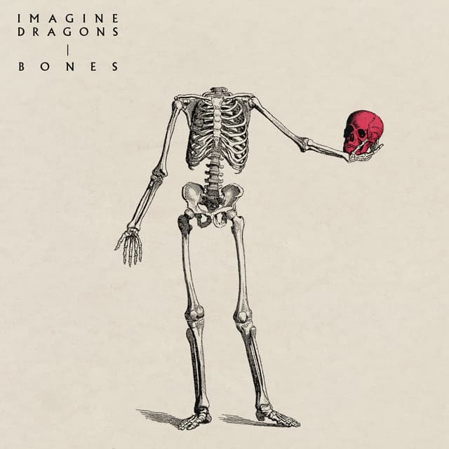 Bones cover art