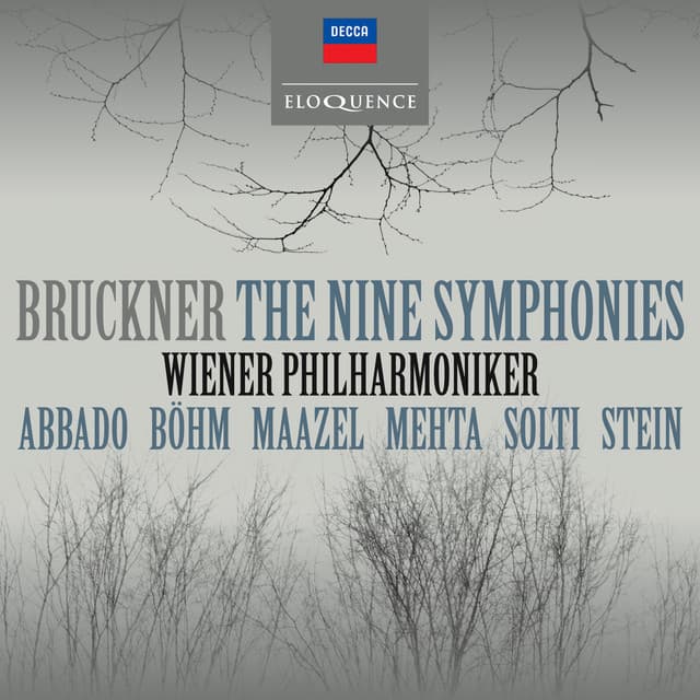 Bruckner: The Nine Symphonies cover art