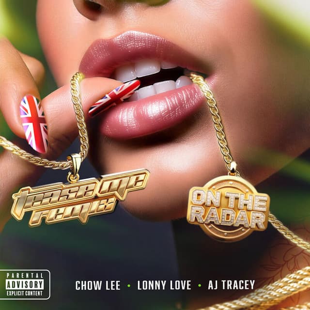 Tease Me - Remix cover art