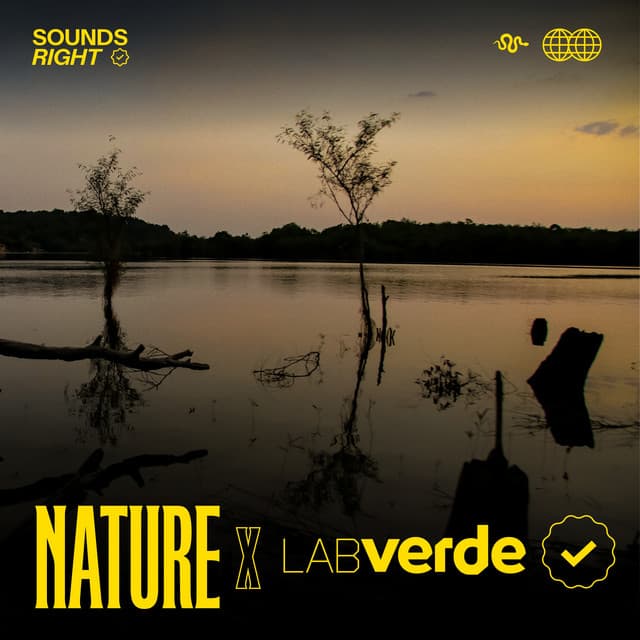 Amazonian Nights cover art