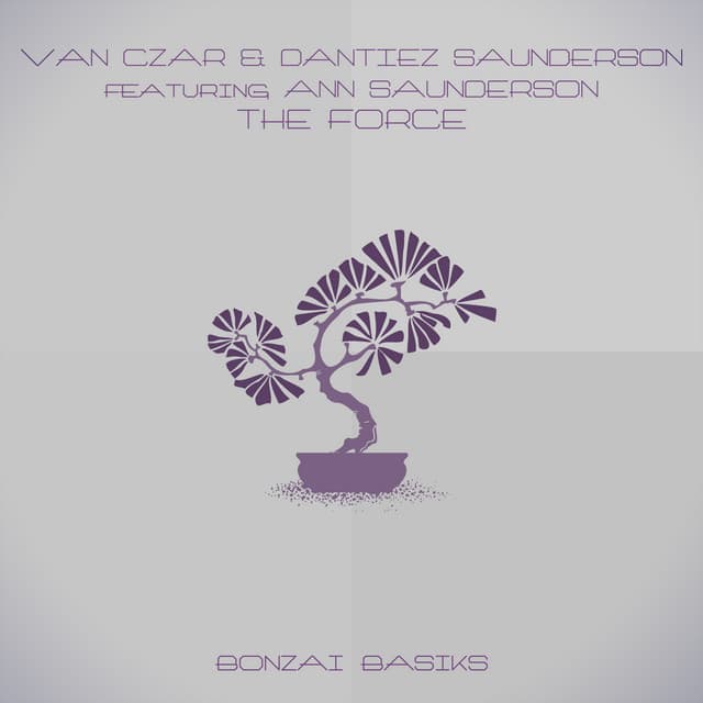 The Force - Playa Den Bossa Mix cover art