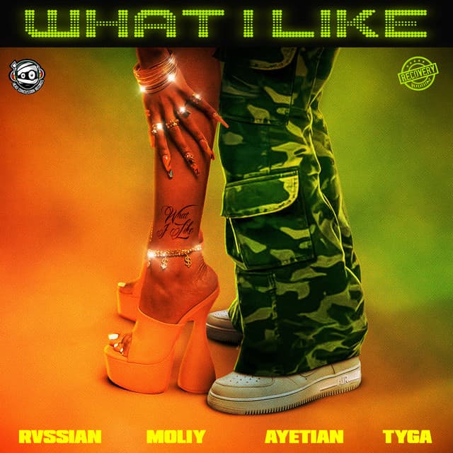 What I Like (with Moliy, Ayetian, & Tyga) cover art