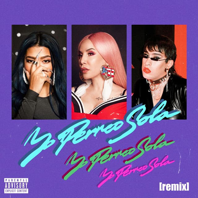 Yo Perreo Sola - Remix cover art