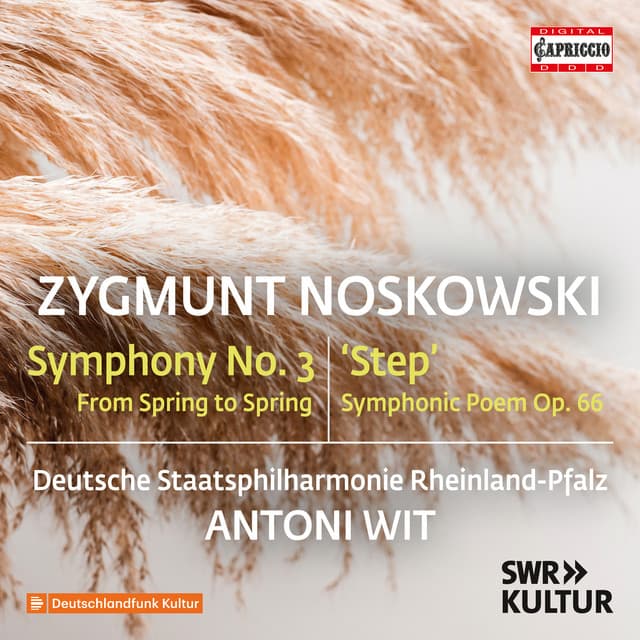 Symphony No. 3 in F Major "From Spring to Spring": I. Spring cover art