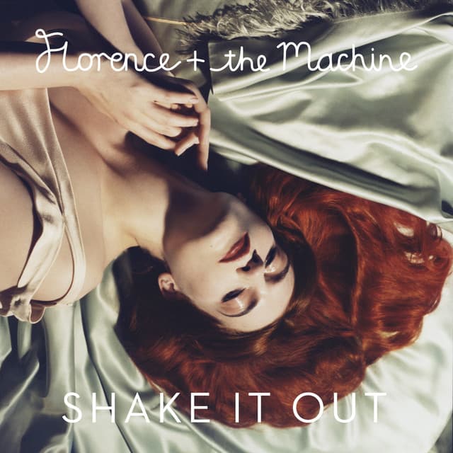 Shake It Out - Benny Benassi Remix cover art