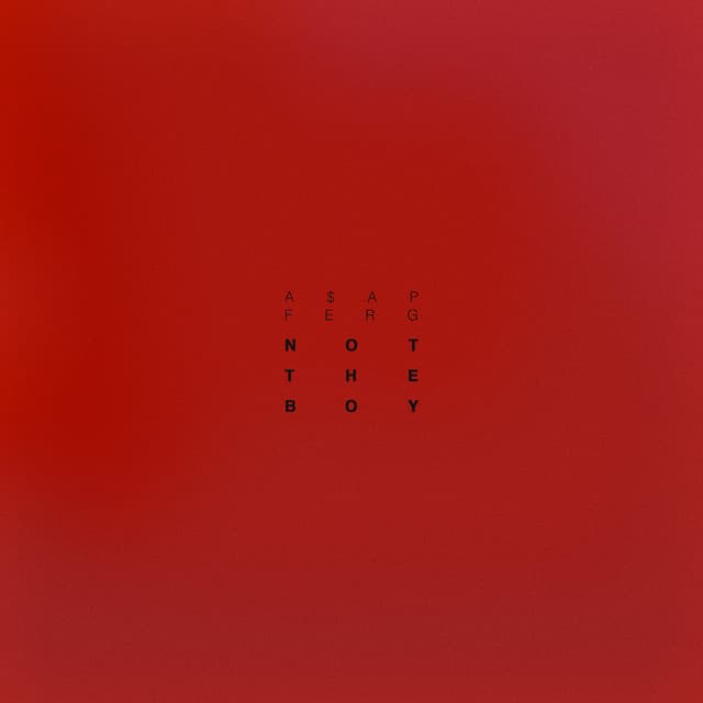 Not The Boy cover art