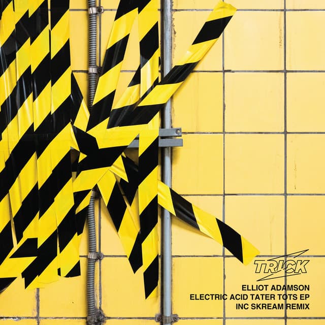 Electric Acid Tater Tots - Skream Remix cover art
