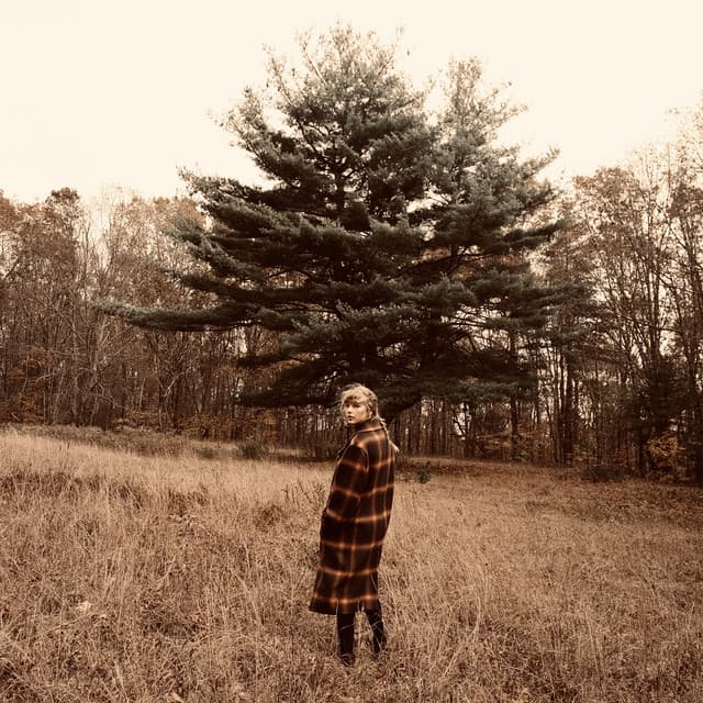willow (the witch collection) cover art