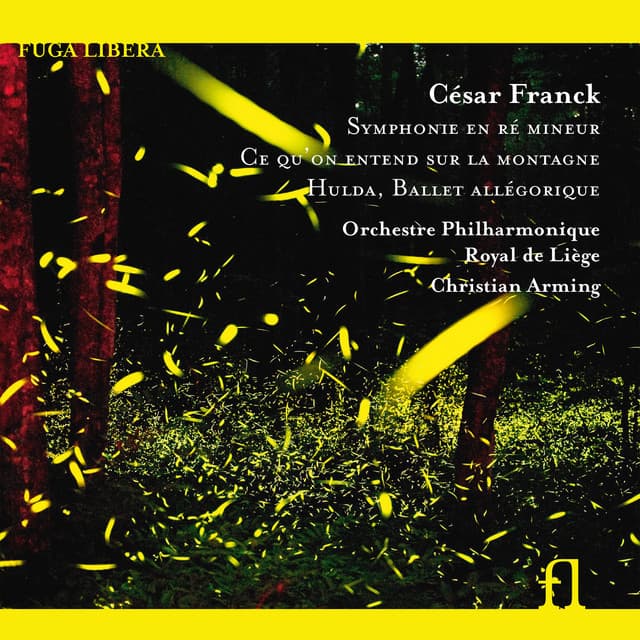 Symphony in D Minor, FWV 48: II. Allegretto cover art