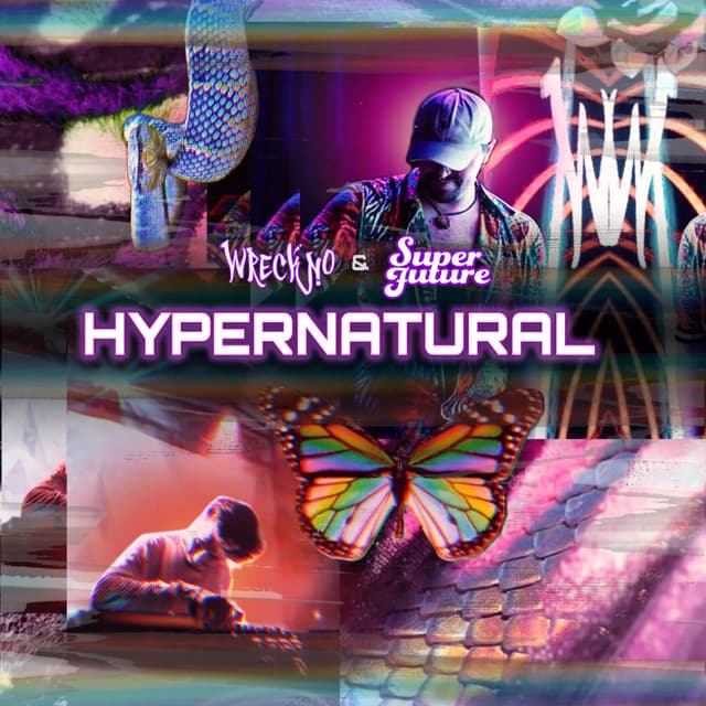 Signal cover art